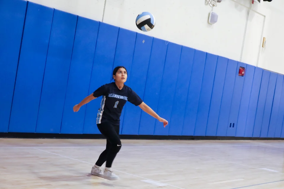 Volleyball